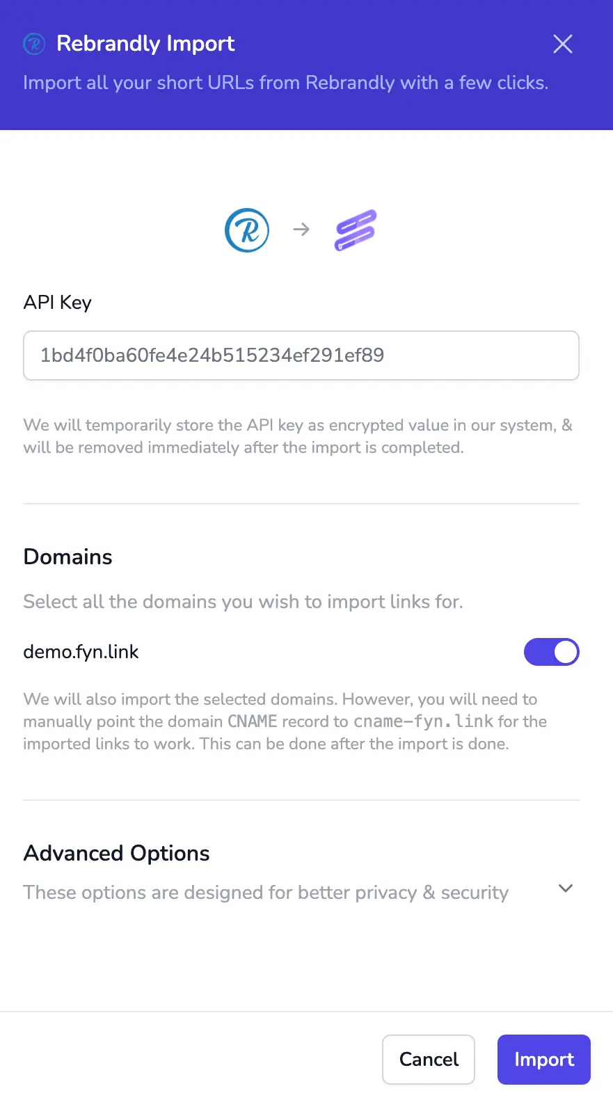 Rebrandly import window